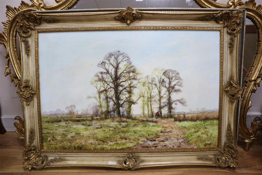 Alwyn Crawshaw (b.1934) Shire horse and trees in a landscape 50 x 75cm